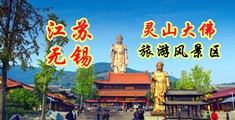 操鸡小说视频网站江苏无锡灵山大佛旅游风景区